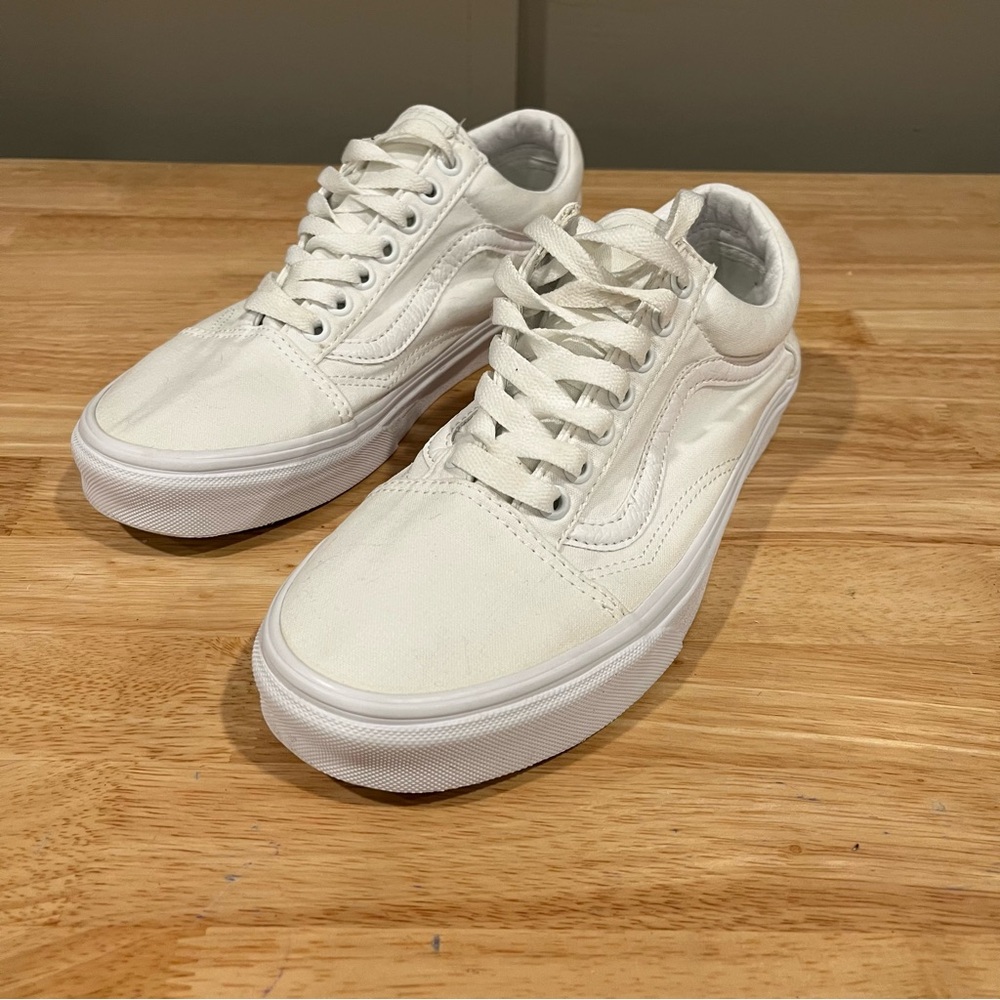 Vans canvas skateboard shoes